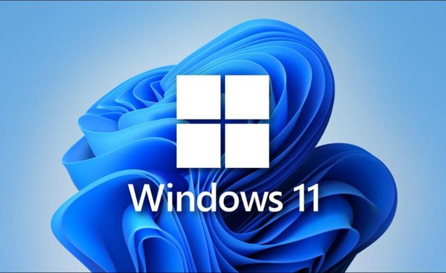 Windows 11 Professional License Cheap